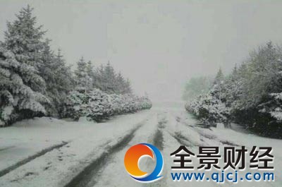 �����³���������