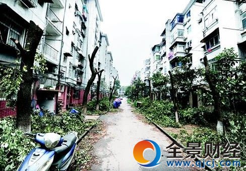 物业违规修剪树木