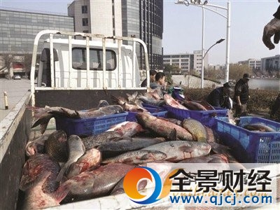 ���ո�У�����̳�һ��Ұ���� ����ʦ�����Ʒ�����˼ҵ�ѧУ