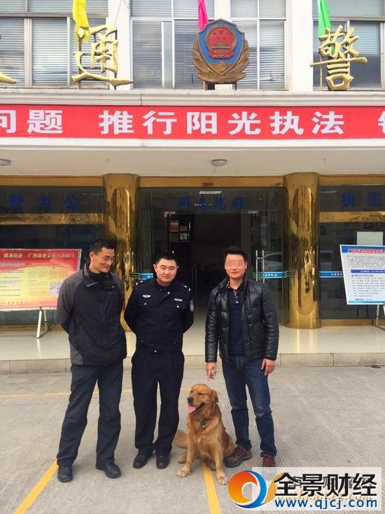 太神奇!这只走丢金毛狗狗 竟会自己