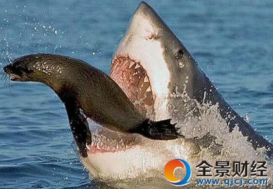 ֱ����������ȴ���ⱻ�� ���ѿ���ֱ�������̸���