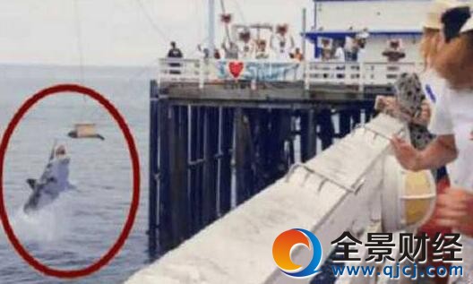 ֱ����������ȴ���ⱻ�� ���ѿ���ֱ�������̸���