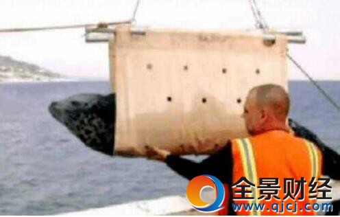 ֱ����������ȴ���ⱻ�� ���ѿ���ֱ�������̸���