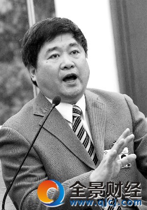 全国政协委员、故宫博物院院长单霁翔(资料图片)