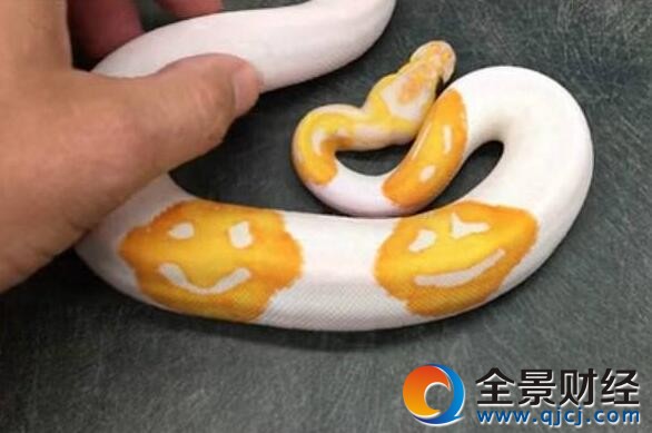 ߻ƿ΢Ц һתеȡ