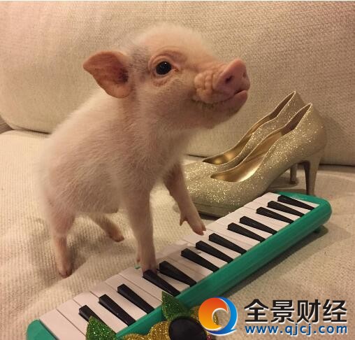 ͵Сѹע