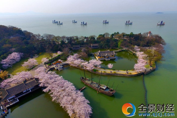 鼋头渚鼋头渚樱花节