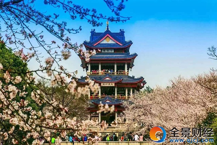 鼋头渚鼋头渚樱花节