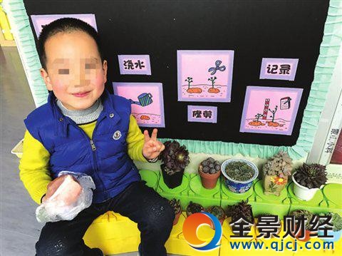 幼儿园老师让带"肉肉"植物 一个孩子带来了一块猪肉太搞笑了