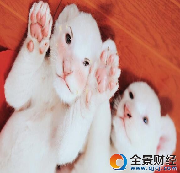  СʨԶԶȥһС