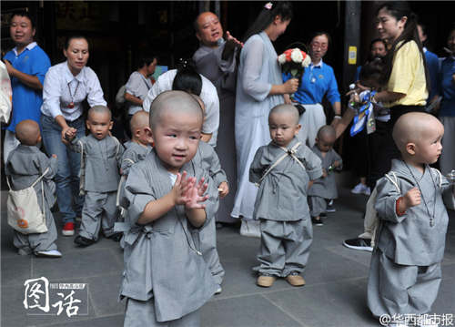 成都现一大波“小沙弥”