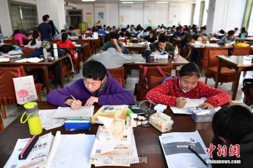 资料图：昆明中小学生在图书馆自习室内写作业。中新社记者 任东 摄