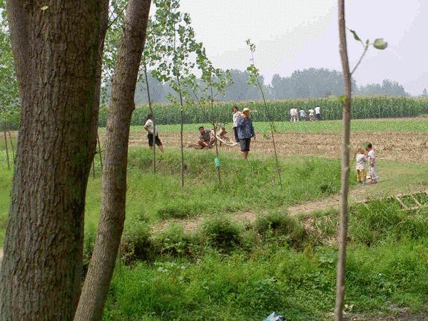 经历过灾难的银庄，人们继续劳作、盖房子，努力生活，让刘倩触动