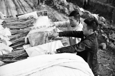 河南温县90后小伙的逆袭人生：返乡卖山药成为“新农人”