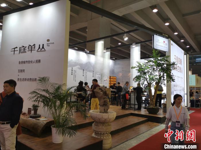 2019中国(广州)国际茶业博览会11月21日开幕，期间透露，中国茶叶产量持续攀升，预计今年内地茶叶产量可达270万吨。　王华 摄