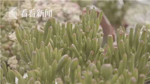 802macfa6f1ed17a508bc7ab44d3ebf183b37b1574577072124_副本.jpg