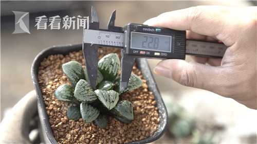 802mac919f05f4c01447a9b1366228b0c445061574577068601_副本.jpg