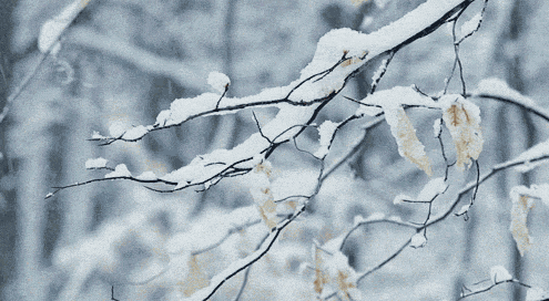 首場雪要來了！河南將連下三天雪！氣溫暴跌至-4℃......