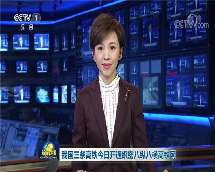 更方便！三条高铁开通 河南“米”字形高铁网“撇捺”两笔织就