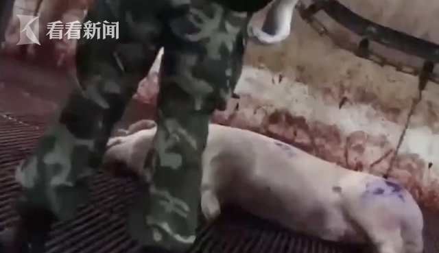 屏幕快照2019-12-02下午9.54.47.png