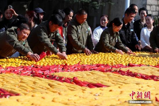 资料图：在河南栾川鸡冠洞，民众用当地的猕猴桃、山楂、大枣、板栗和玉米等山货和粮食，绘制出边长为7米的大型丰收图，共庆丰收。<a target=