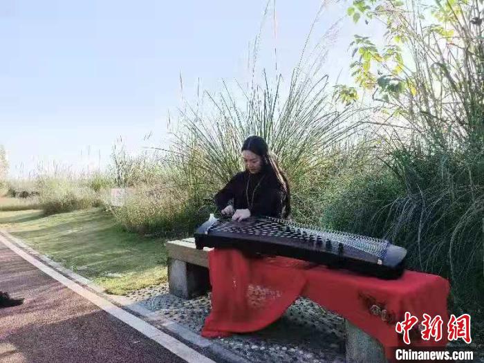 琴音优雅的鲁家滩湿地公园。　钟欣 摄