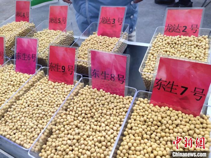 展会共设48个特装展区 黑龙江省农业农村厅提供