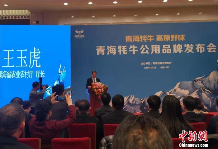 青海农业农村厅厅长王玉虎在青海牦牛公用品牌发布会上发表讲话。 谢艺观 摄