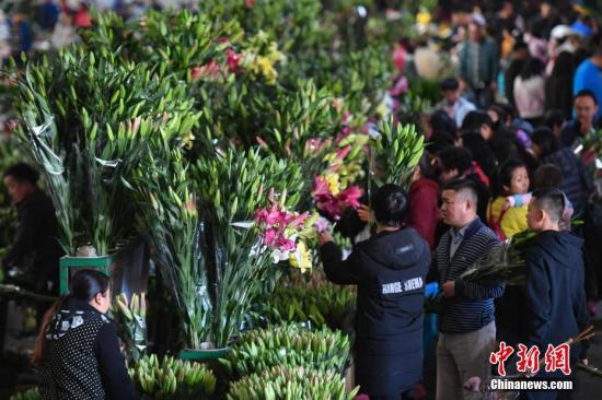 资料图：民众在昆明斗南花市选购鲜花。<a target=