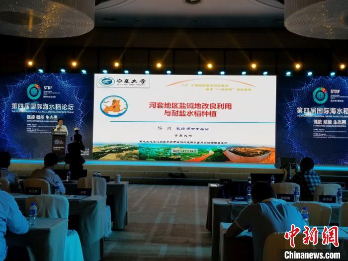 论坛现场。　王晓斌 摄
