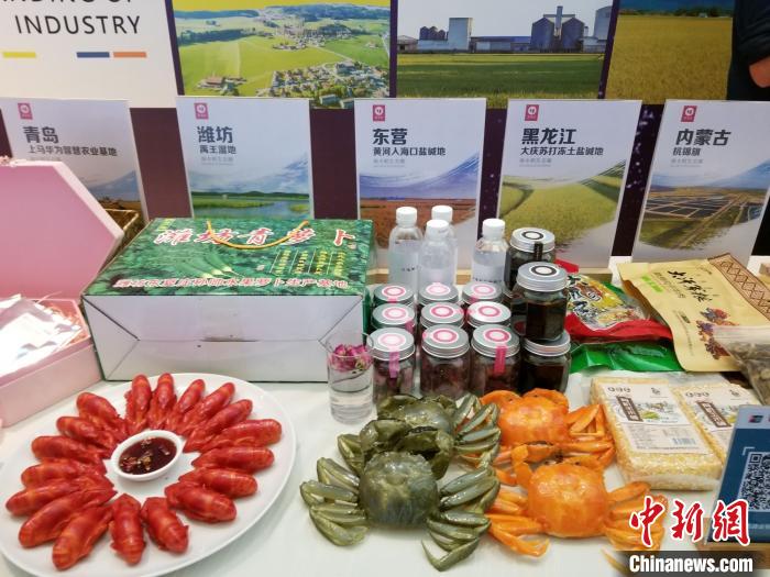 袁隆平：盐碱地种水稻可进一步保障中国的粮食安全