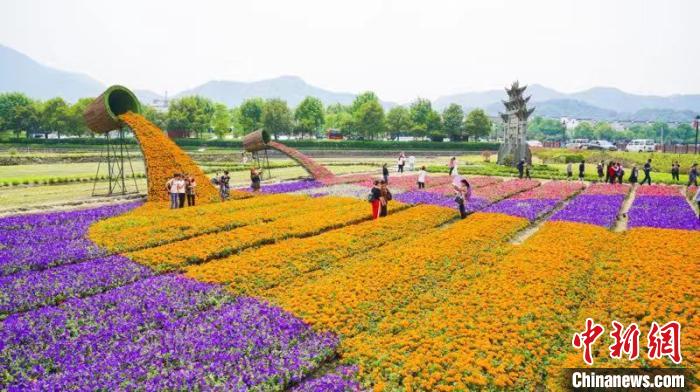 乡村百花大会 富阳宣传部供图