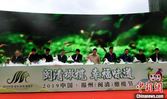 2019中国·福州(闽清)橄榄节12月22日在福建省福州市闽清县开幕。　吕明 摄