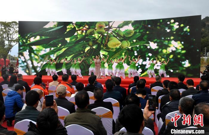 开幕式表演。　吕明 摄