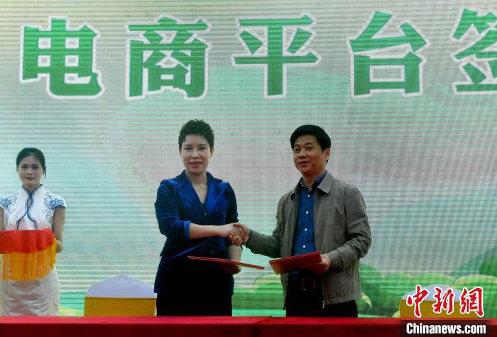 闽清县签约“滴水购”电商平台助橄榄成农户“致富果”