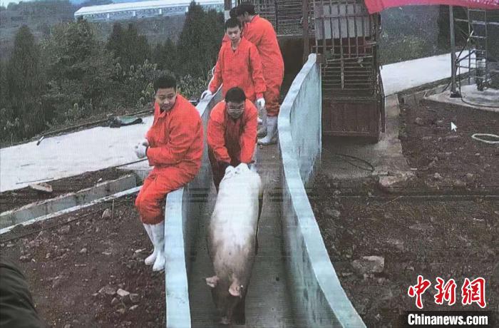 投产仪式现场。　钟欣 摄