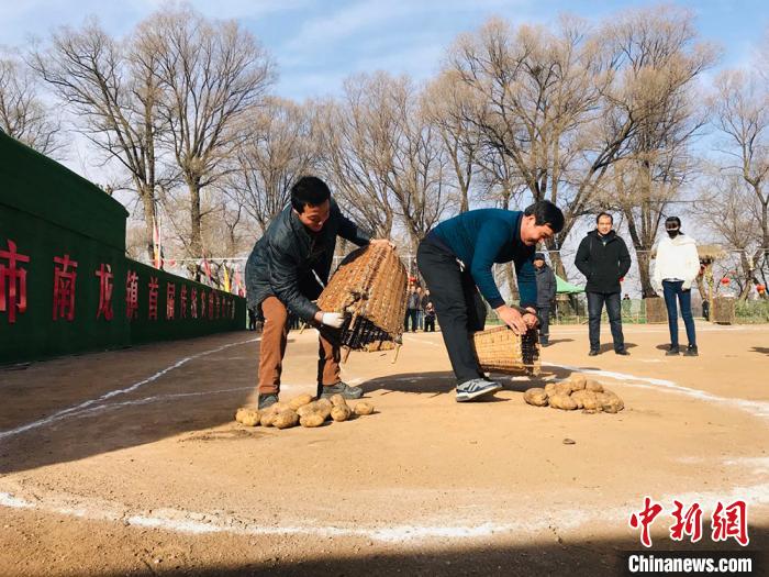 图为民众体验“装洋芋”农耕项目。　艾庆龙 摄