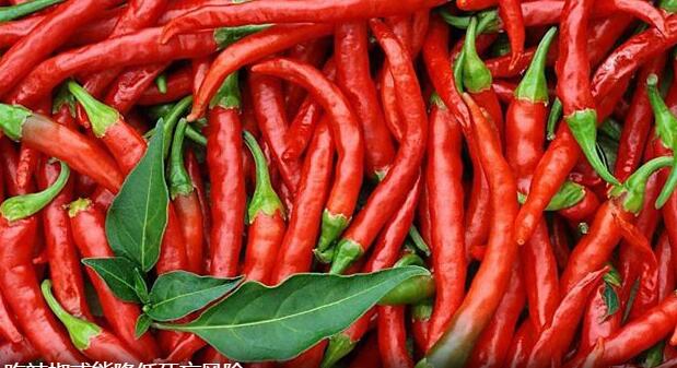 最新研究表明：吃辣椒或能降低死亡风险