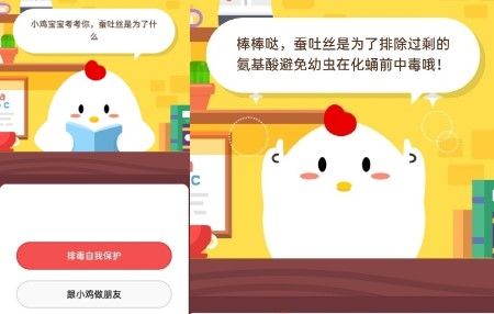 蚕吐丝是为了什么?答案：排毒自我保护