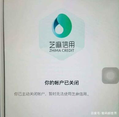 支付宝芝麻go卡是什么 冻结一部分花呗金额作为担保