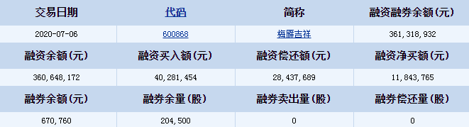 梅雁吉祥(600868)资金流向 融资买入额4亿元