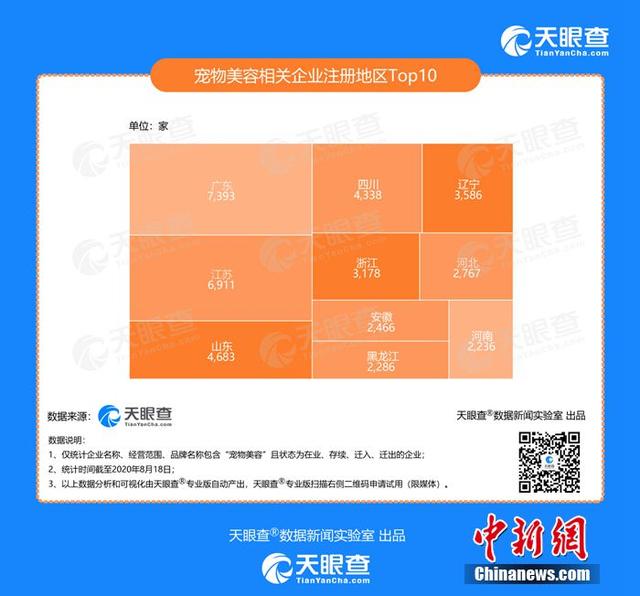 天眼查专业版数据显示 新增“宠物美容”企业近6.2万家