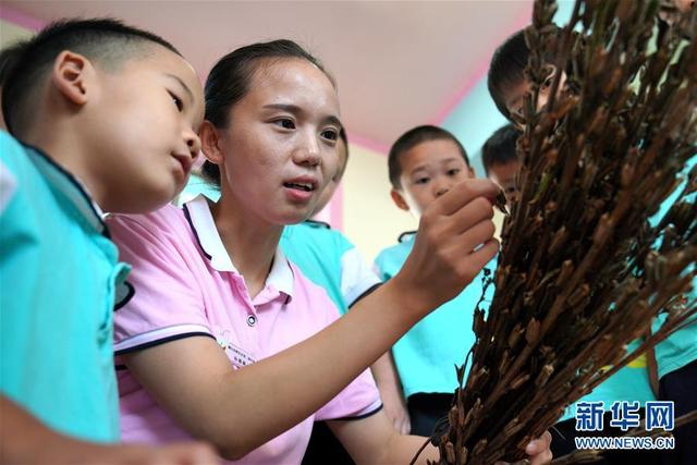 开学第一课：节约粮食 杜绝浪费 树立爱粮、惜粮意识