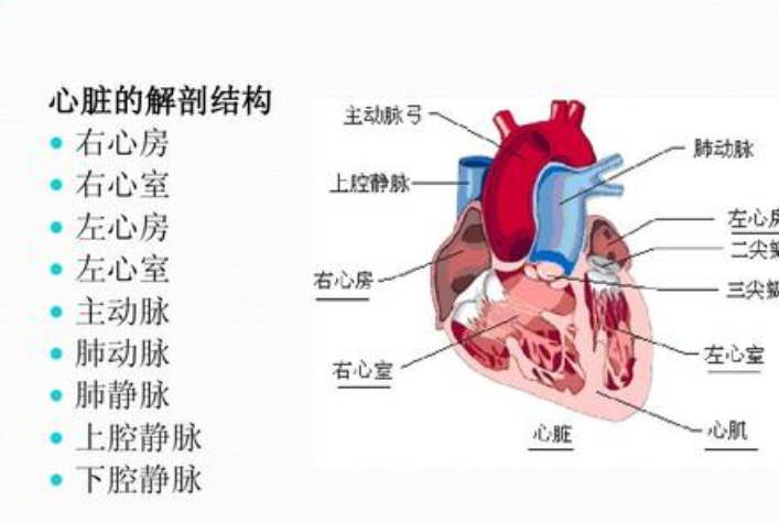 心脏支架价格是怎么降下来的？国家力量太强大