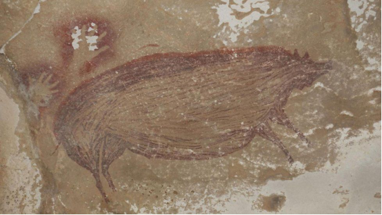 印尼发现已知世界最古老洞穴壁画：猪的背部上方还有两个手印