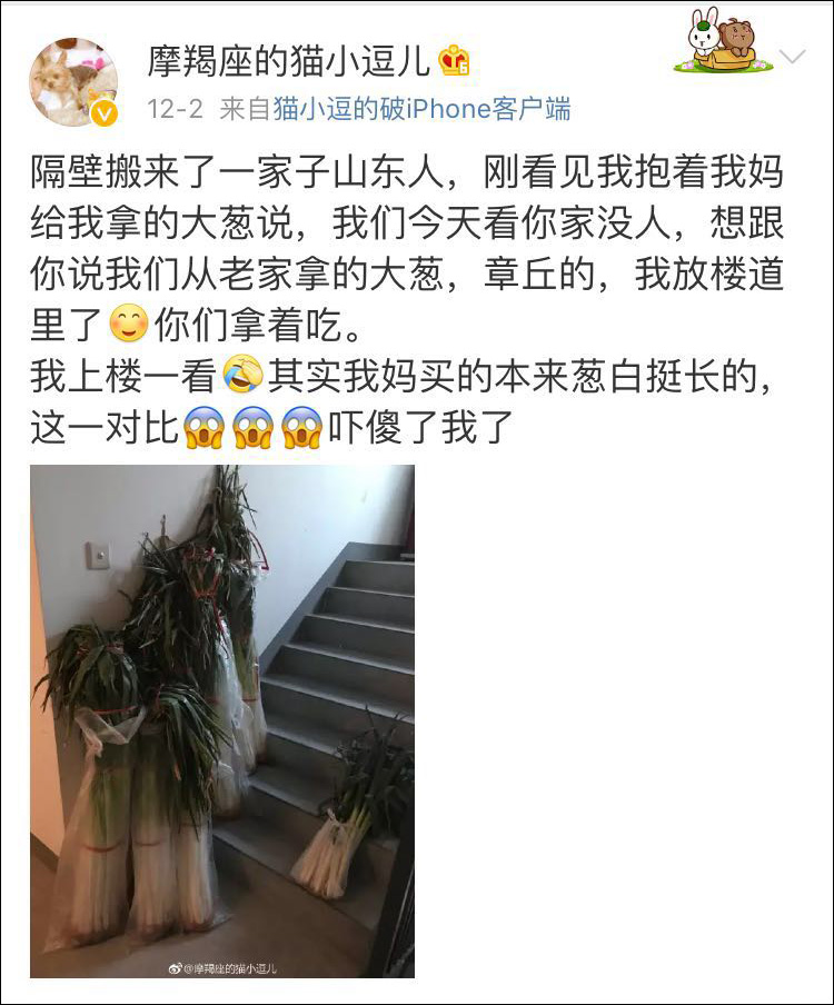 山东章丘大葱高过人 颠覆网友对“大葱”的认知