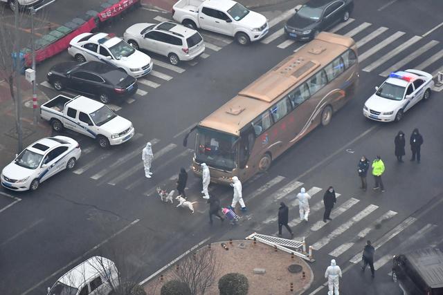 北京大兴：集中隔离观察人员可携带宠物一同前往