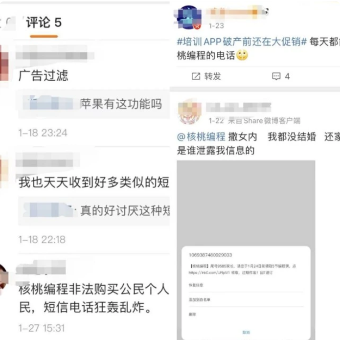 融资受阻、被央视点名 靠抄袭起家的核桃编程们还能走多远？