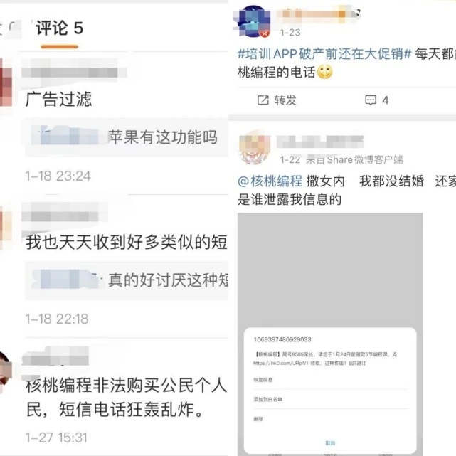 融资受阻、被央视点名，靠抄袭起家的核桃编程们还能走多远？
