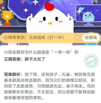 小鸡走路时为什么脑袋是一突一突的？脖子太长了
